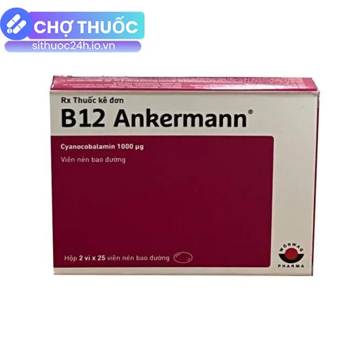 B12 Ankermann
