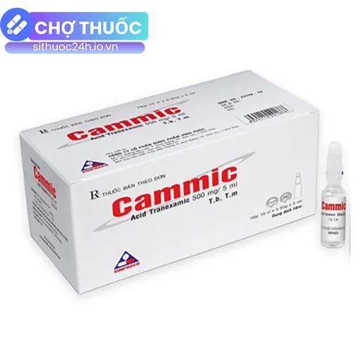 Cammic 500mg/5ml