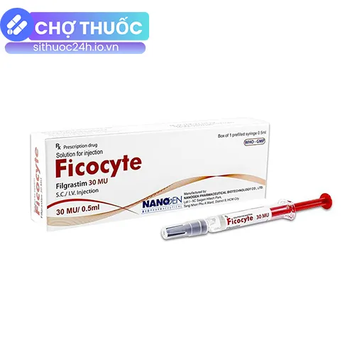 Ficocyte