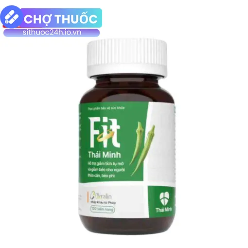 FIT Thái Minh