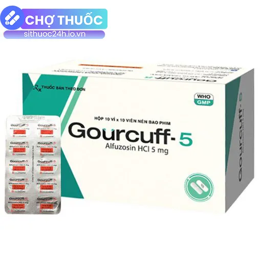 Gourcuff-5