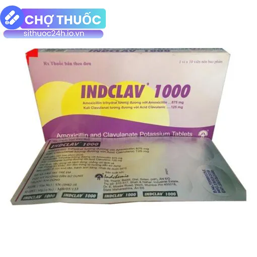 Indclav 1000