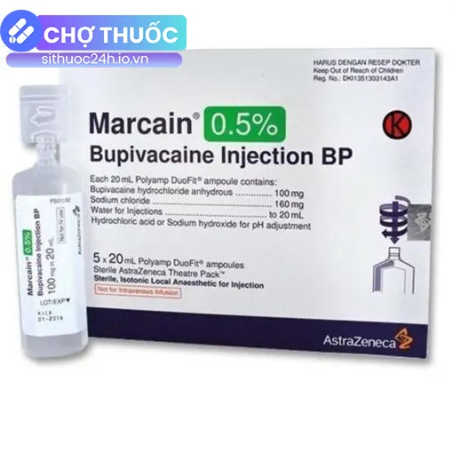 Marcain 0.5%