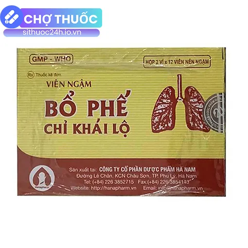 Viên Ngậm Bổ Phế Chỉ Khái Lộ Hà Nam